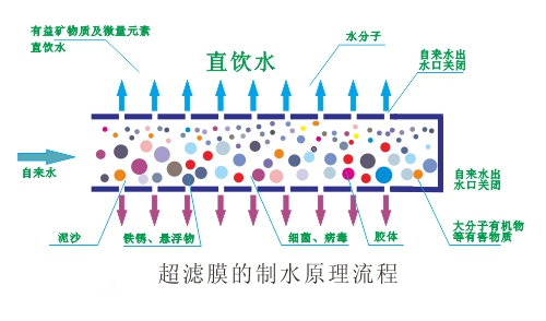 微信图片_20201114103030.jpg